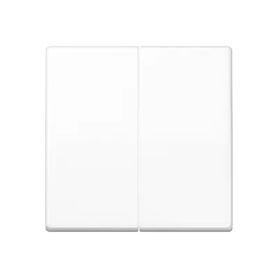 JUNG Steuertaste 2-fach Standard AS1702WW | Bedienelement Schalter/Dimmer | Duroplast glänzend | alpinweiß | RAL 9010