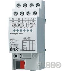 Jung Binäreingang 6-fach REG AC/DC 2TE 2116 REG