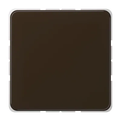 JUNG Blindabdeckung CD594-0BR | Abdeckung mit Tragring | Kunststoff Thermoplast | glänzend | IP44 | braun RAL 8022