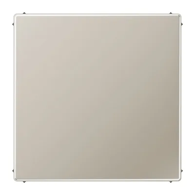 JUNG Blindabdeckung ES2994B | Blind-Abdeckung mit Tragring | Edelstahl matt | Metall | Klemmbefestigung | IP44