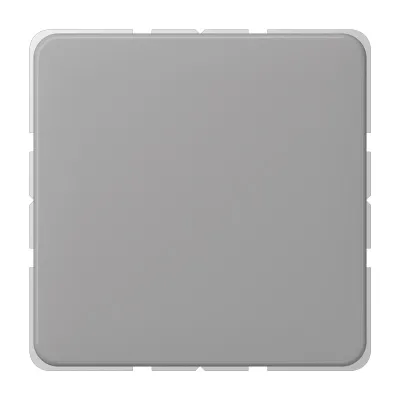 Jung Blindabdeckung mit Tragring CD594-0GR | Universal Blende | Klemmbefestigung | Thermoplast | IP44 | grau
