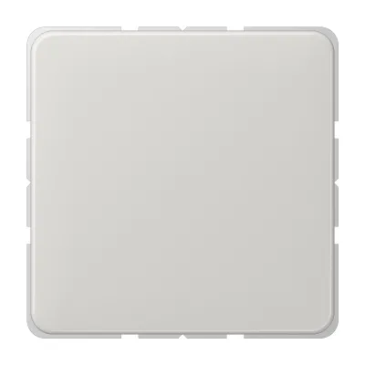 JUNG Blindabdeckung CD594-0LG | Abdeckung mit Tragring | Klemmbefestigung | Thermoplast glänzend | IP44 | lichtgrau