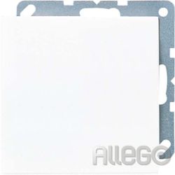Jung Blind-Abdeckung lgr kompl.mit Tragring LS 994 B LG