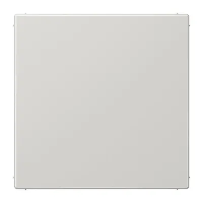 JUNG Blindabdeckung LS994BLG | mit Tragring | 70x70mm | Duroplast | IP44 | lichtgrau RAL 7035