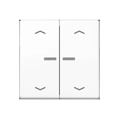 JUNG HOME Taster 2fach BTA17102PWW | Smart Home Schalter | Bluetooth | Alexa & Google | Duroplast glänzend | Alpinweiß