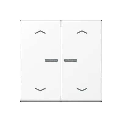 JUNG HOME Taster 2-fach BT A 17102 P WWM | Funk Bedienelement | LED | Bluetooth | schneeweiß matt