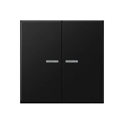 JUNG Taster 2fach BT A 17102 SWM | Smart Home | Funk, Bluetooth, LED | Alexa & Google Assistant | graphitschwarz