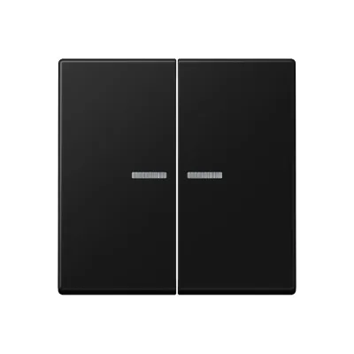 JUNG Taster 2fach BT A 17102 SWM | Smart Home | Funk, Bluetooth, LED | Alexa & Google Assistant | graphitschwarz