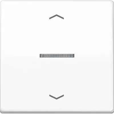 JUNG HOME Taster 1-fach BTAS17101PWW | Funk-Bedienelement | LED-Anzeige | Alexa & Google Assistant | Alpinweiß