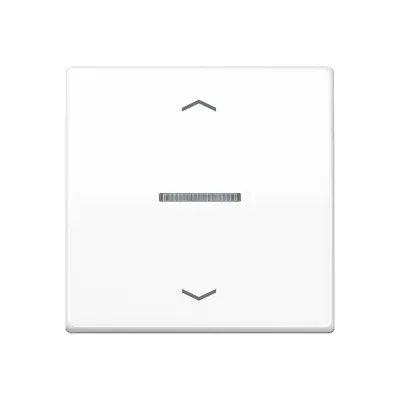 JUNG HOME Taster 1-fach BTAS17101PWW | Funk-Bedienelement | LED-Anzeige | Alexa & Google Assistant | Alpinweiß