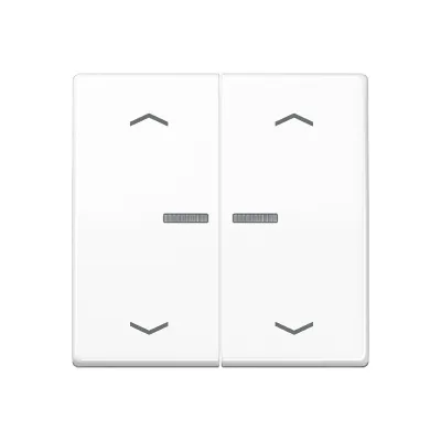 JUNG HOME Taster 2-fach BTAS17102PWW | Jalousie- und Lichtsteuerung | Bluetooth | LED-Anzeige | Duroplast | Alpinweiß