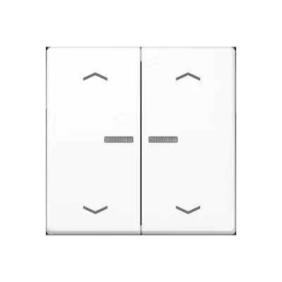 JUNG HOME Taster 2-fach BTAS17102PWW | Jalousie- und Lichtsteuerung | Bluetooth | LED-Anzeige | Duroplast | Alpinweiß