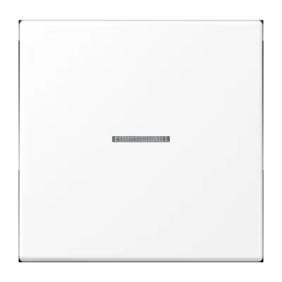 Jung BT LS 17101 WWM Bedienelement 1f schn-ws m.Abd f.Dimmeins