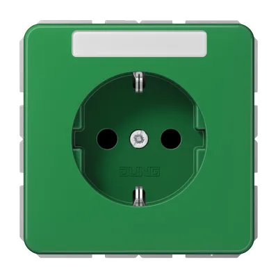 JUNG SCHUKO Steckdose CD1520BFKINAGN | Unterputz 16A 250V | Berührungsschutz | Schriftfeld | bruchsicher | grün
