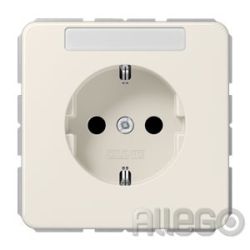 Jung CD1520NA SCHUKO Steckdose m.Schriftf.