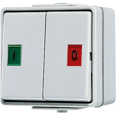 JUNG Doppelwipptaster 639 W | 2 Wechsler | Aufputz | mit Beleuchtung | IP44 | Symbolsortiment | Duroplast | grau