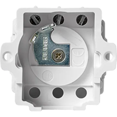 JUNG Schlüsselschalter-Einsatz 833.18GEINS | WG 800 | 1-polig Taster | für Profil-Halbzylinder 40mm | Alu silber-grau