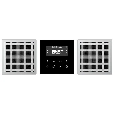 JUNG Einsatz-Radio alu Basis+v.Abdeckpl DABAL2 JUNG Einsatz-Radio alu Basis+v.Ab
