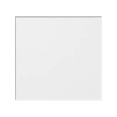 Jung Ersatzscheibe 61GL WG600 | Glasscheibe für Abdeckung 661 | 62,5x61 mm | Schalter/Taster | IP44 | Glas