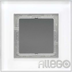Jung Glasrahmen 1-fach aws waage/senkrecht LSP 981 GL WW