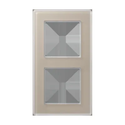 JUNG Glasrahmen 2-fach AV 582 GLM CH | Einbaurahmen Serie A | Glas satiniert matt | waagerecht & senkrecht | champagner