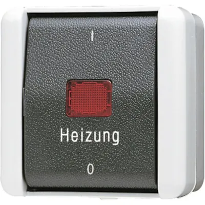 JUNG Heizung Notschalter 802 HW WG800 | 2-polig Aufputz IP44 | Kontrollschalter mit Glimmlampe | grau anthrazit