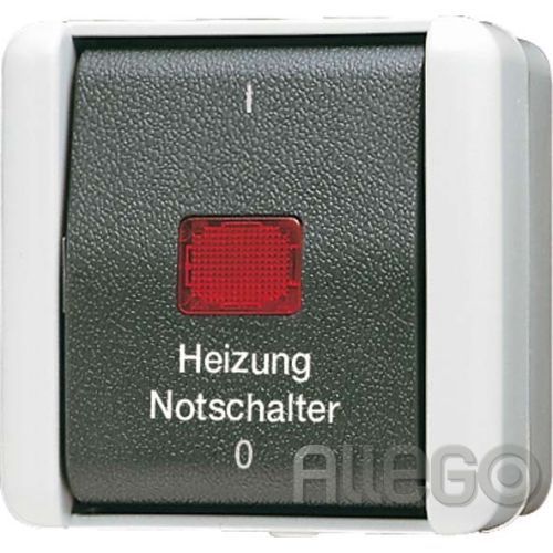 Bild: Jung Heizung-Notschalter Aus 2-pol. 802 HW