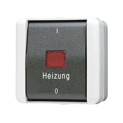 JUNG Heizung Notschalter 802 HW WG800 | 2-polig Aufputz IP44 | Kontrollschalter mit Glimmlampe | grau anthrazit