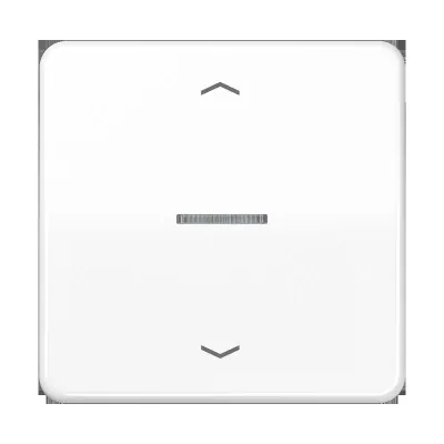 JUNG Taster 1fach BT CD 17101 P WW | Smart Home Schalter | Bluetooth | LED | Alexa & Google | alpinweiß