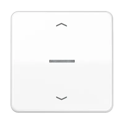 JUNG Taster 1fach BT CD 17101 P WW | Smart Home Schalter | Bluetooth | LED | Alexa & Google | alpinweiß