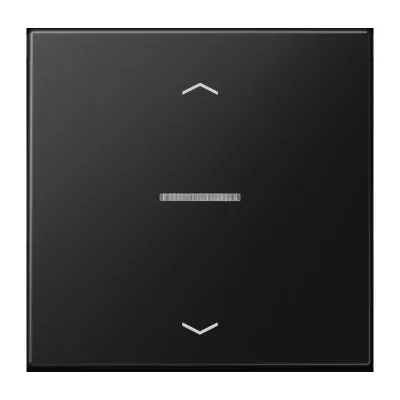 JUNG HOME Taster 1-fach BT LS 17101 P SWM | smarter Funk-Schalter | Bluetooth | Alexa | matt graphitschwarz