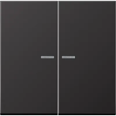 JUNG KNX RF Taster 2-fach AL 10921ST RF D | Unterputz | Aluminium lackiert matt | Status-LED | Raumthermostat | dark