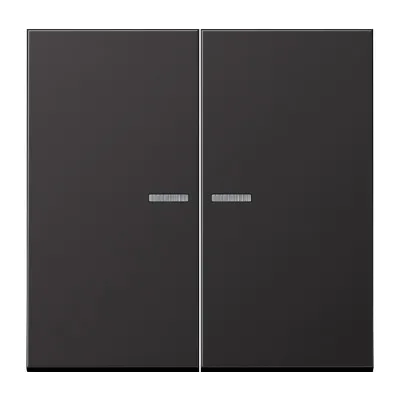 JUNG KNX RF Taster 2-fach AL 10921ST RF D | Unterputz | Aluminium lackiert matt | Status-LED | Raumthermostat | dark