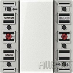 Jung KNX Tastsensor-Modul Universal, 2fach A 5092 TSM