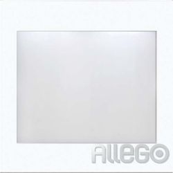 Jung LED-Lichtsignal aws mit ws und bl LEDs LS 539 WW LEDWB