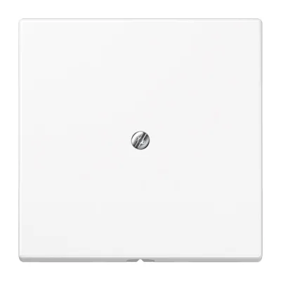 JUNG Leitungsauslass LS990AWW | Kabelauslass mit Zugentlastung & Tragring | Unterputz | Duroplast glänzend | alpinweiß