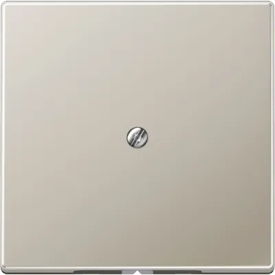 JUNG Leitungsauslass ES2990A | Kabelauslass Unterputz mit Zugentlastung & Tragring | Edelstahl matt | 70x70mm | IP20