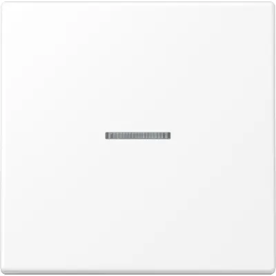 JUNG Wippe für Taster KO LS101KO5WWM | Kontrollwippe 1-fach KNX | Lichtleiter | Duroplast matt | schneeweiß RAL 9016