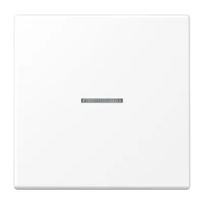 JUNG Wippe für Taster KO LS101KO5WWM | Kontrollwippe 1-fach KNX | Lichtleiter | Duroplast matt | schneeweiß RAL 9016