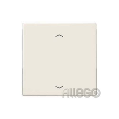 Bild: JUNG LS1700P Steuertaste Standard -Pfeile