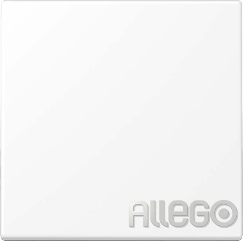 JUNG LS990WWM Wippe f. Schalter/Taster