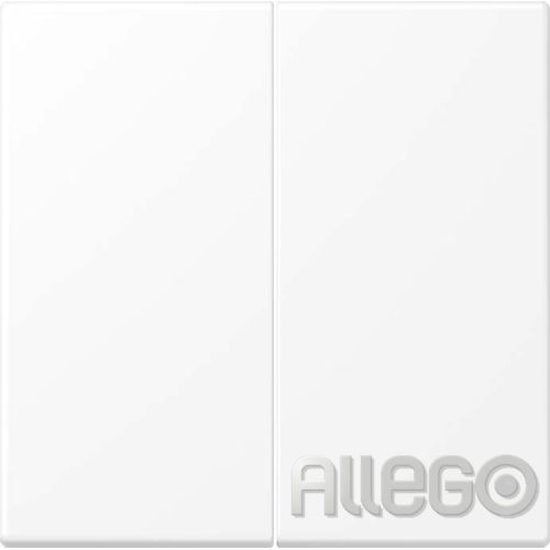 Bild: JUNG LS995WWM Wippe f. Serienschalter