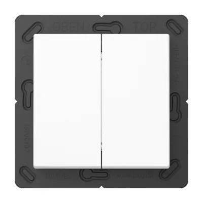 JUNG Matter Wandsender MAT A 595 WW | 2-fach Taster | Funk | batterieversorgt | Aufputz | Thread & Bluetooth | alpinweiß