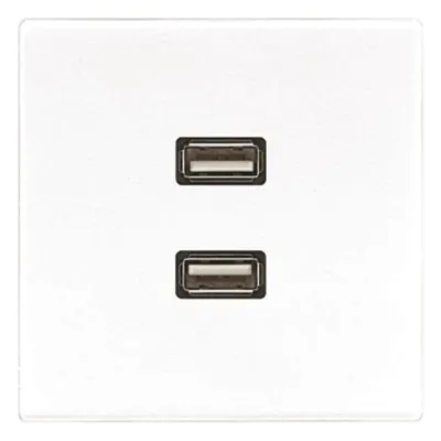 JUNG Multimedia-Anschluss aws 2 x USB m.Tragri MA LS 1153 WW