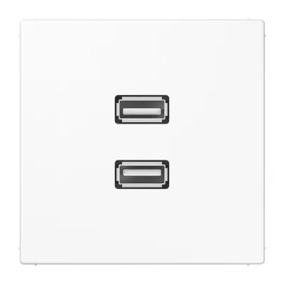 JUNG Multimedia-Anschluss aws 2 x USB m.Tragri MA LS 1153 WW