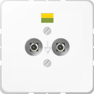 Jung Potentialausgleichssteckdose CD565-2WW | 2-fach Unterputz | Duroplast | DIN 42801 | Tragring | alpinweiß