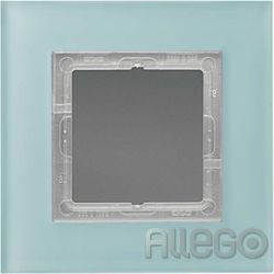 Jung Rahmen 1-fach mt ws waage/senkrecht LSP 981 GLAS