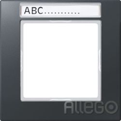 JUNG Rahmen 1-fach Schriftfeld anthrazit mat AC 581 BFNA ANM