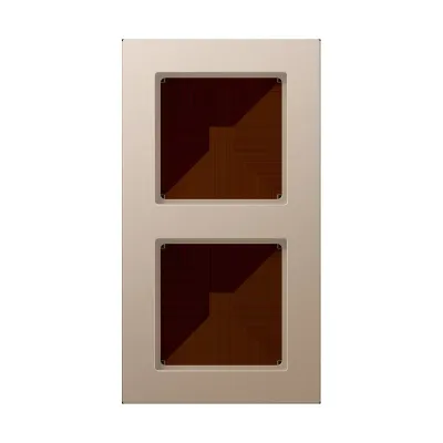 JUNG Rahmen 2-fach A 5582 BF CH | Doppelrahmen für Serie A | waagerecht & senkrecht | Thermoplast matt | aluminium