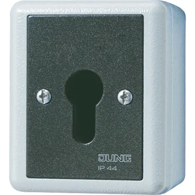 JUNG Schlüsselschalter 806.28G | 2-polig | Aus-Wechselschalter | IP44 | Alu-Druckguss | Unterputz | grau